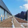 Buy cheap Uv Protected Arch Mushroom Poly Tunnel Greenhouse from wholesalers