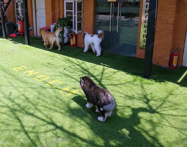 Buy cheap Garden Artificial Grass Turf PE Synthetic Turf 35mm Landscaping Grass from wholesalers