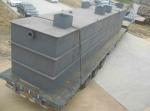 Professional Slaughterhouse Wastewater Treatment Plant