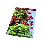 Matte Varnishing C2S Paper Travel Advertisement Poster