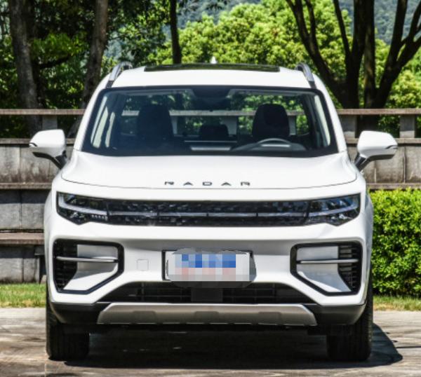 Buy cheap RADAR RD6 2023 Model 550km Chuangke Edition Pure electric pickup truck from wholesalers