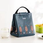 Customize Oxford Lunch Cooler Bag Folded Thermal Tote Waterproof Insulated For