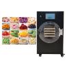 Buy cheap 4-6kg/Batch Capacity Food Stayfresh Freeze Dryer Automatic from wholesalers