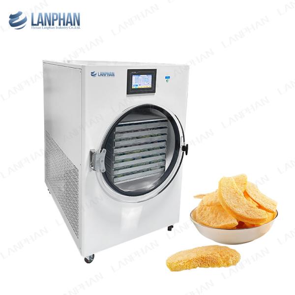 Buy cheap Freeze Dryer Equipment Fruit candy Meat Freeze Dryer 220V Freeze Dry Machine from wholesalers