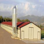 Modern Long Span Steel Construction Building High Capacity Prefabricated Poultry