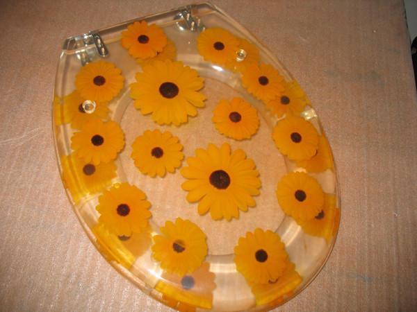 Buy cheap SAND SEA STAR resin toilet seat,17'18'19'Uropean standard,USA stardard from wholesalers
