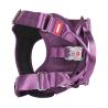 Buy cheap Dog Harness Vest Heavy Duty Padded Reflective USB Nylon Material Oxford Made LED Light from wholesalers