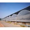 Buy cheap 30-Day Return Guarantee Anti-Drip Fogging Double-Film Greenhouse Structure jx-fg-001 from wholesalers