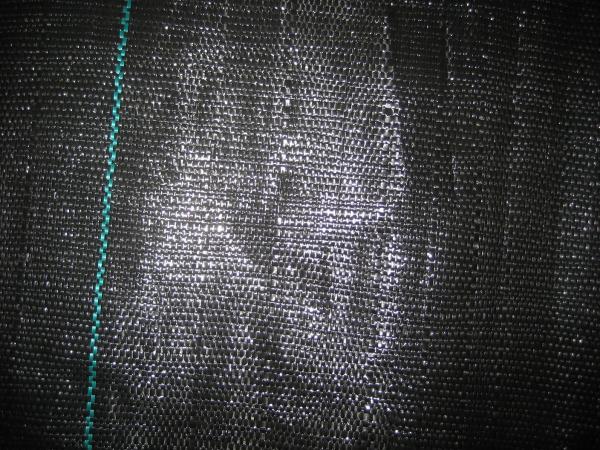 Buy cheap PE / PP Woven Ground Cover Fabric 150gsm , Weed Mat For Home Garden from wholesalers