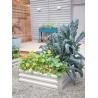 Buy cheap Farmhouse 80x30cm Raised Metal Garden Bed For Flower from wholesalers