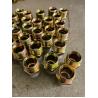 Buy cheap Customized Thread Adapter / Hydraulic Hose Fittings Hydraulic Hose Ferrule Fittings from wholesalers