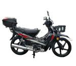 Tuvalu Hot Sale cheap motorcycle 110cc ZS engine cub bike 125cc LIFAN super cub