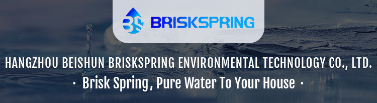 BRISKSPRING High-Tech SAAS Alloy Chips Whole House Water Conditioner Descaler