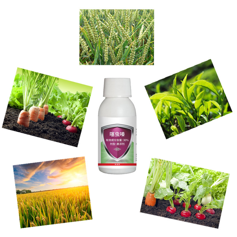 Liquid Chemical Agriculture Insecticide 30% Thiamethoxam Pesticide Spray Aphid Killing Cabbage Root Fly Insecticide