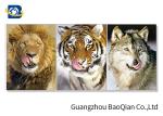 Stunning Animal Lenticular Flip / Amazing Naked 3D Lenticular Photography