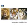 Buy cheap Stunning Animal Lenticular Flip / Amazing Naked 3D Lenticular Photography from wholesalers