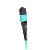 Buy cheap Multimode 50/125 OM3 MPO Fiber Patch Cord Female Connectors 12 cores from wholesalers