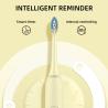 Buy cheap Smart IPX7 Adult Timer Electric Toothbrush For Oral Cleaning Whitening from wholesalers