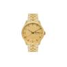 Buy cheap Solid Band Stainless Steel Automatic Timepieces 50M Water Resistant from wholesalers