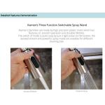 SUS304 Stainless Steel Flexible Spout Kitchen Tap Single Lever Brushed Nickel