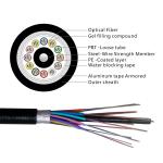 Double Armored Plastic Fiber Optic Patch Cables Single Mode Gyta53 Steel Wire
