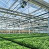 Buy cheap Type Roof Glass Commercial Greenhouse Hydroponic Setup for Year-Round Availability from wholesalers