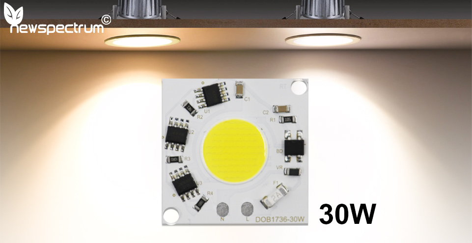 COB 220V LED Module Cold White 30w Cob Led For Outdoor LED Bulb