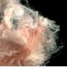 Buy cheap Non Siliconized Acrylonitrile Staple Fibre Raw Color from wholesalers