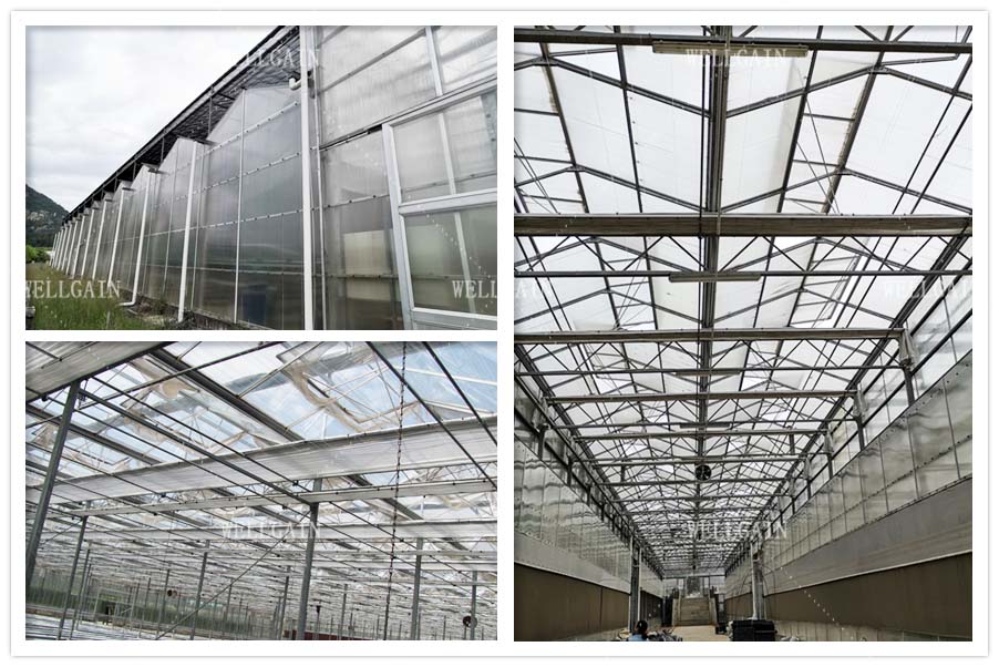 UV Resistant Twin Wall Polycarbonate Greenhouse Modern Farms Greenhouse