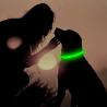 Buy cheap Lightweight LED Dog Collar USB Rechargeable , High Visible LED Pet Dog Collar from wholesalers