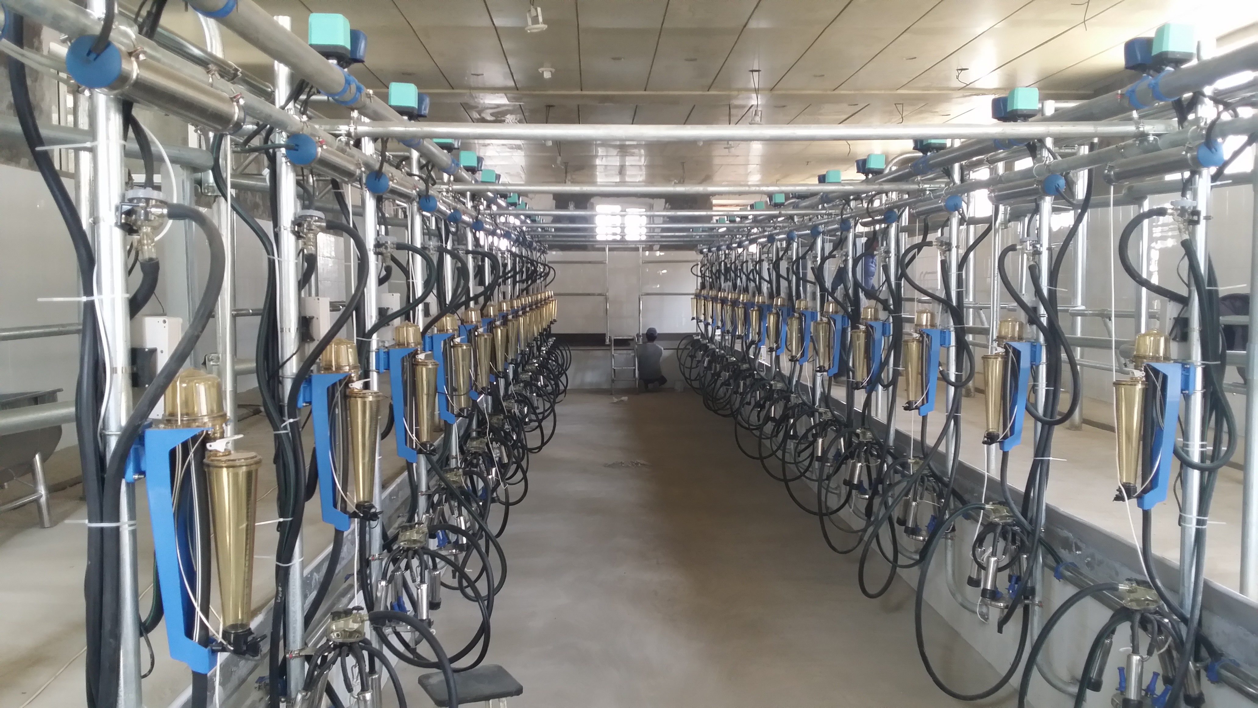 HL-G02 2x16 Cow Herringbone Milking Parlor with 33KG Waikato Milk Flow Meter