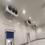 Production Cold Storage Room for Fruits and Vegetables 100mm Thickness Panel