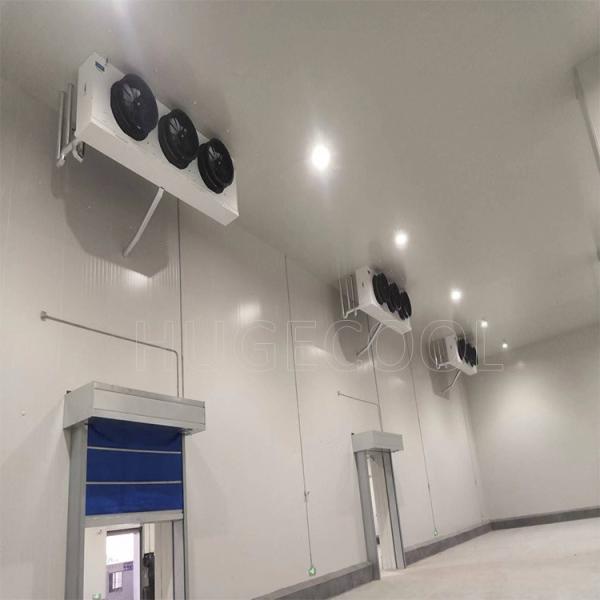 Production Cold Storage Room for Fruits and Vegetables 100mm Thickness Panel