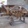 Buy cheap Park Decoration Dinosaur Skeleton Replica Life Size Sunproof from wholesalers