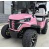 Buy cheap Electric Golf Cart With Canopy 60v 100ah Lead Acid Battery Front Bumper And Radio from wholesalers