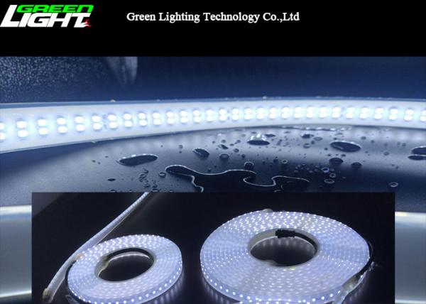 Buy cheap Dual Row 6500k SMD5050 LED Silicone Strip Light 12W/M from wholesalers
