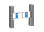 40person/min 100W SS304 Access Control Swing Gate