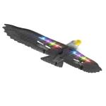 3-Ch RC Bird Plane Fly Toy RC Airplane EPP Model Eagle Toys Glider Jet