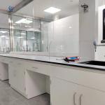 Buy cheap Floor Standing Island Lab Bench , Smooth Laboratory Wall Bench Furniture from wholesalers