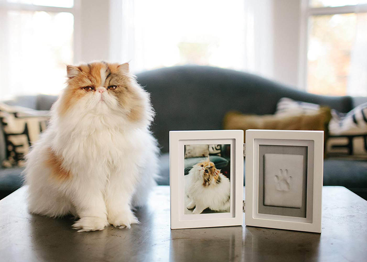 Dog / Cat Pet Memorial Picture Frame , Clay Paw Print Memorial Picture Frame