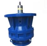 High Speed Compact Cycloidal Planetary Gear Reducer Vertical BLD4