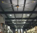 Daisen Industrial Hvls Ceiling Fan Cooling Ventilation Exhaust Fan With Pmsm