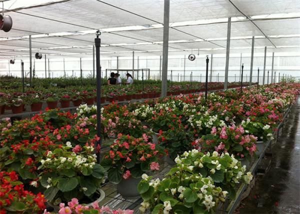 Buy cheap 8m*4m Dimenison Garden Glass Greenhouse Easily Assembled Highly Durable from wholesalers