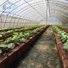 Buy cheap Commercial Plastic Film Galvanized Transparent Tunnel Plastic Greenhouse from wholesalers