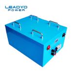 Rechargeable Golf Buggy Batteries 48V 100Ah , Deep Cycle Lithium Ion Batteries