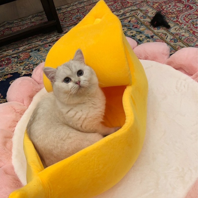 chew proof bed