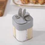 Four Grid Pepper Powder Transparent Spice Box Seasoning Jar Outdoor Portable