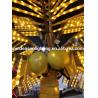Buy cheap gefuhrte palme bilder from wholesalers