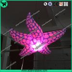 New Brand Event Decoration Lighting Blue Inflatable Starfish/Ocean Event