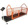 Buy cheap SGS 12km/H Indoor Dog Treadmill , Dog On Running Machine from wholesalers